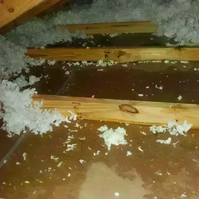 Attic Water Damage in Guthrie Center, IA